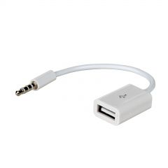 Adapter with cable Akyga AK-AD-24 USB A (f) / mini Jack (m) 15cm